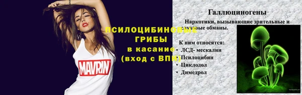 тгк Беломорск
