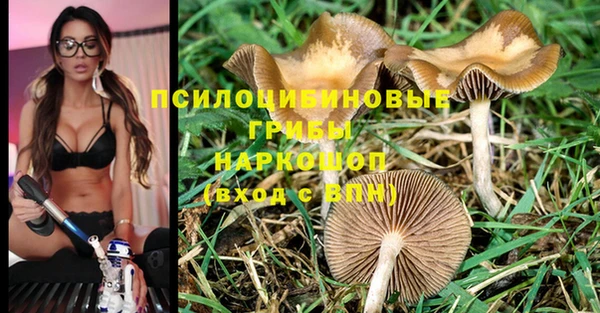мяу мяу мука Белоозёрский
