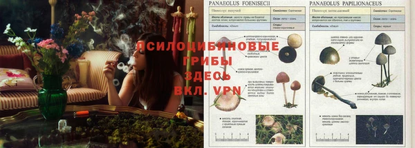 мяу мяу мука Белоозёрский