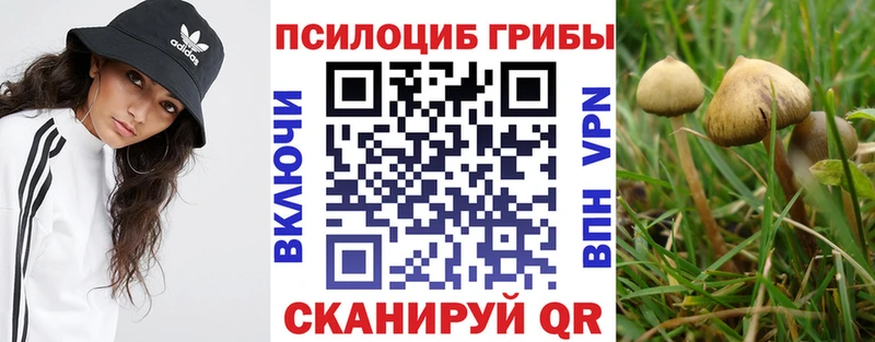 Псилоцибиновые грибы Psilocybine cubensis  Верхняя Пышма 